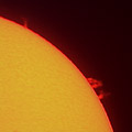 Die Chromosphäre der Sonne