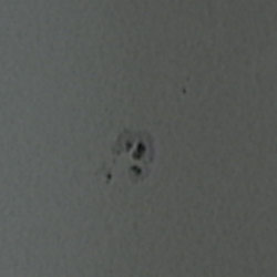 Aktive Region AR10875