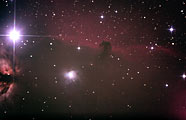 Pferdekopfnebel B33 im Orion