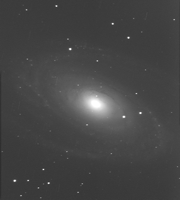 Galaxie M81 am 07. Jänner 2008