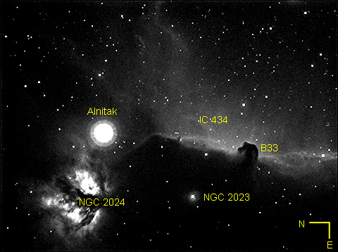 B33 mit IC 434, NGC 2023 und NGC 2024