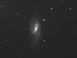 Galaxie M66