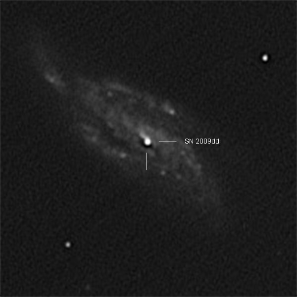NGC 4088 mit SN 2009dd