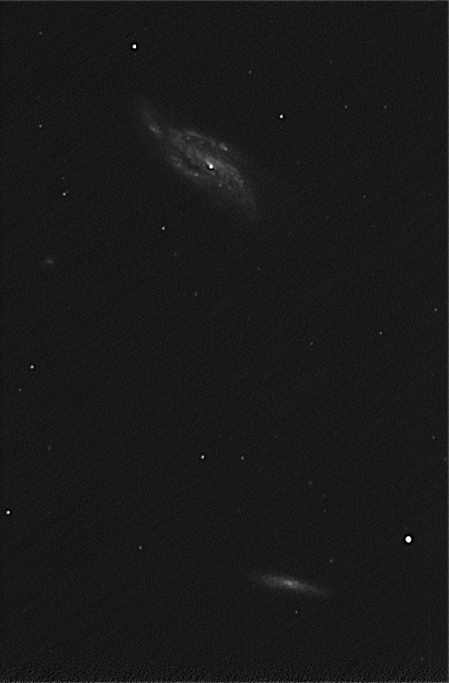 NGC 4088 mit SN 2009dd