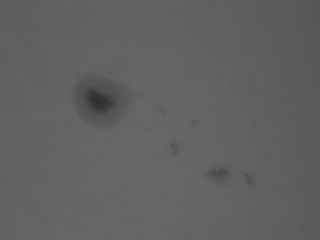 AR11057 im Weißlicht