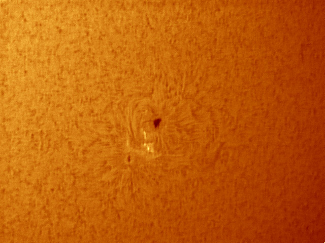 AR11057 im H-alpha Licht
