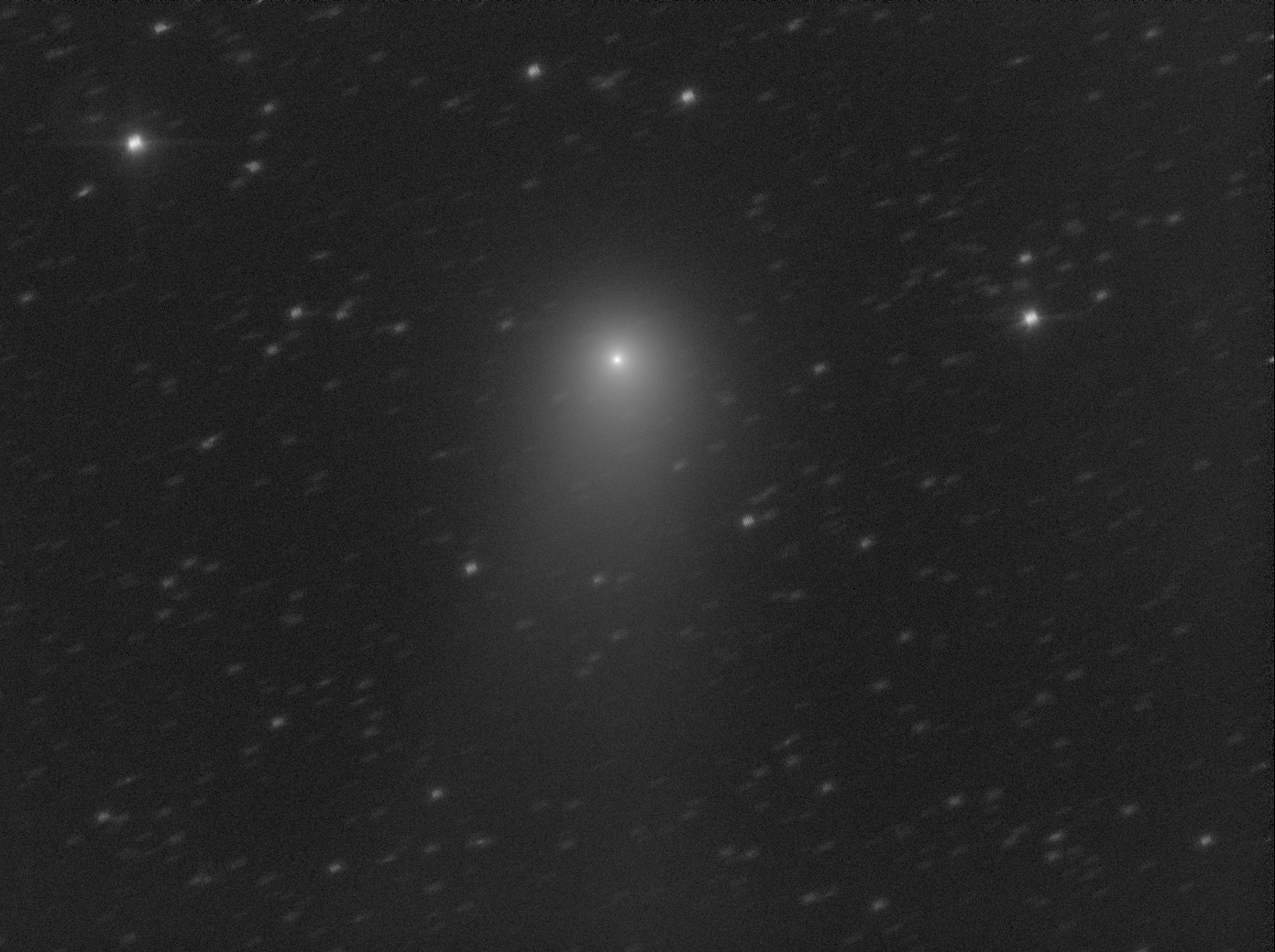 Komet C/2009 P1