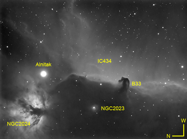 B33 mit IC 434, NGC 2023 und NGC 2024