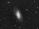 Spiralgalaxie NGC2903