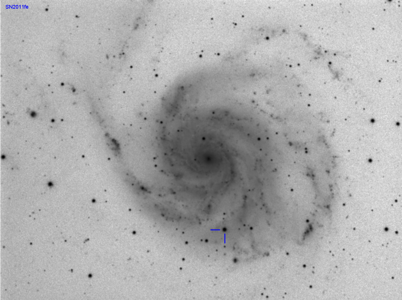 Supernova SN2011fe am 29. August 2011