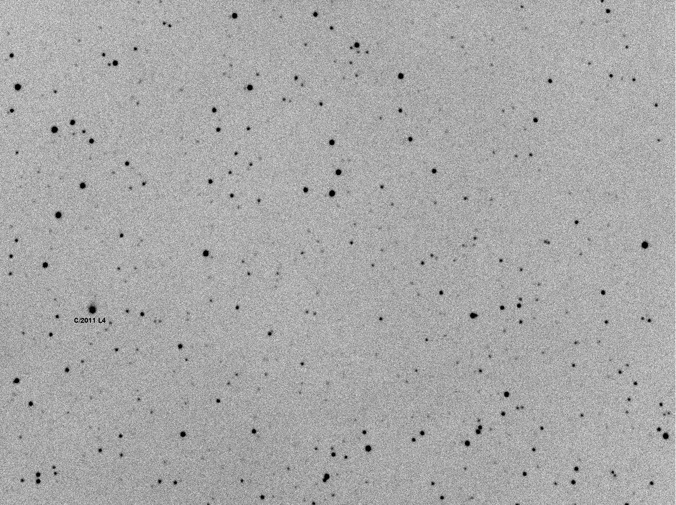 Komet C/2011 L4 (PANSTARRS) am  14. Mai 2012
