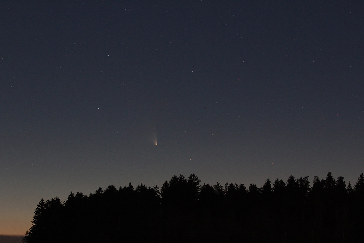 Komet C/2011 L4 (PANSTARRS) am  19. März 2013