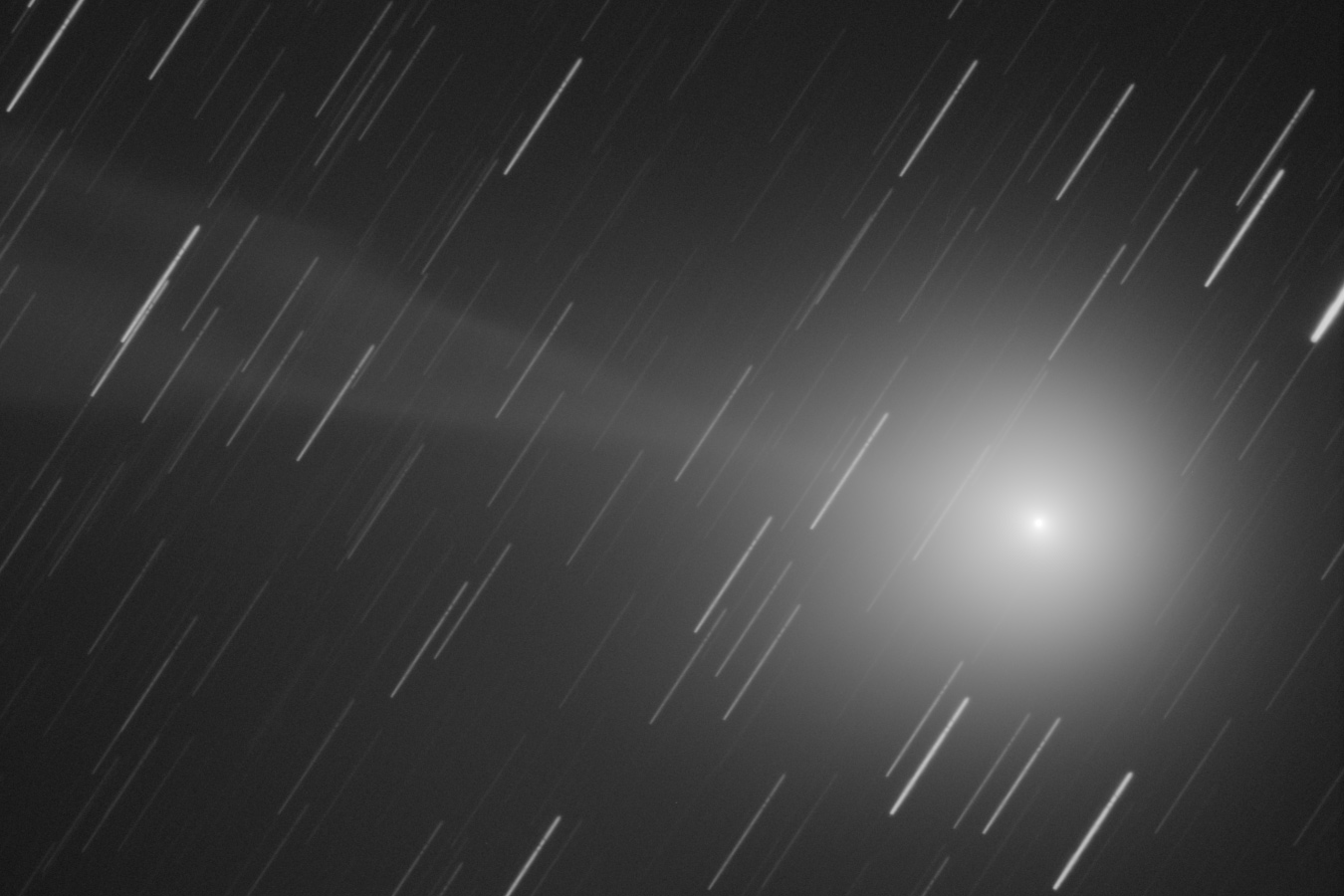 Komet C/2014 Q2 (Lovejoy) am 31. Jänner 2015