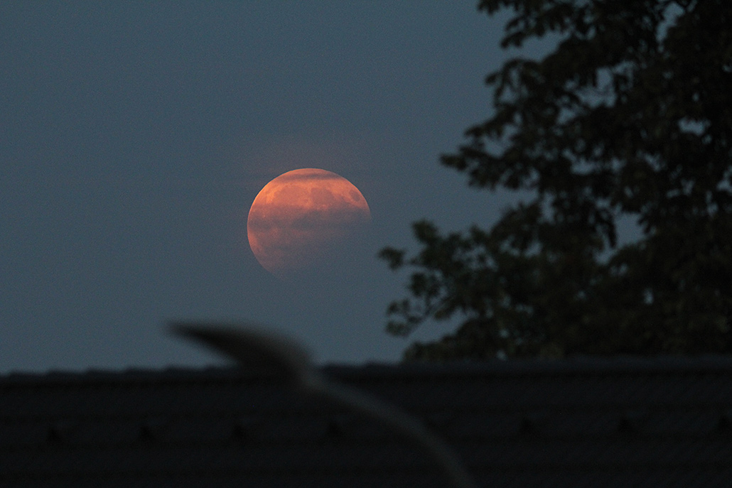MOFI 07. August 2017, 20:39 MESZ