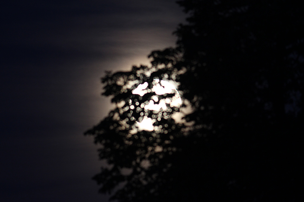 MOFI 07. August 2017, 21:15 MESZ