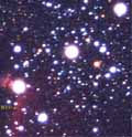 B33 im Sternbild Orion