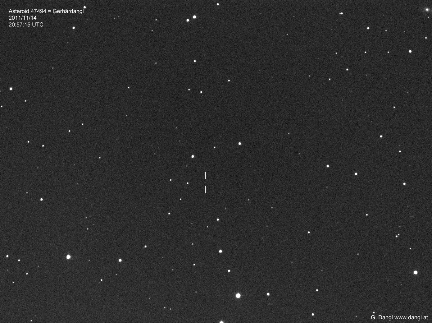 Gerhardangl (47494)