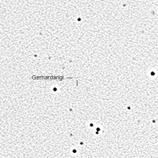 Gerhardangl (47494)