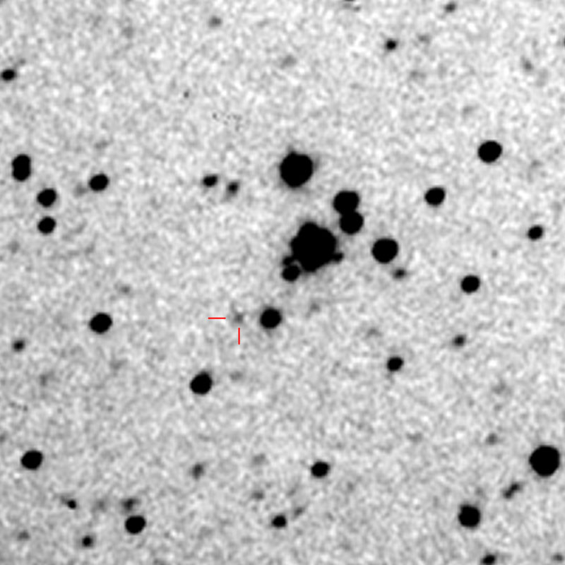 Gerhardangl (47494)