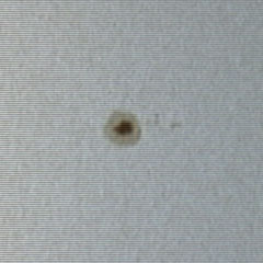 Sonnenfleckengruppe 10644